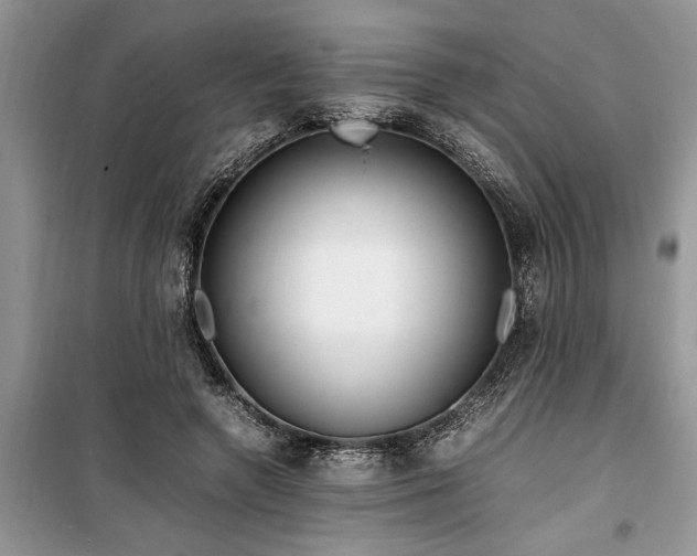 X0000099510546200805291152