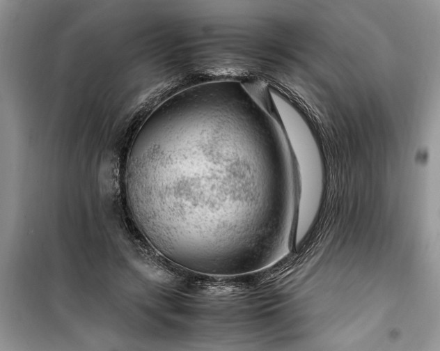 X0000099510547200805291152