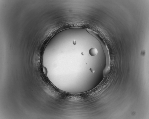 X0000099510548200805291152