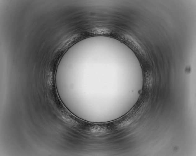 X0000099510549200805291152