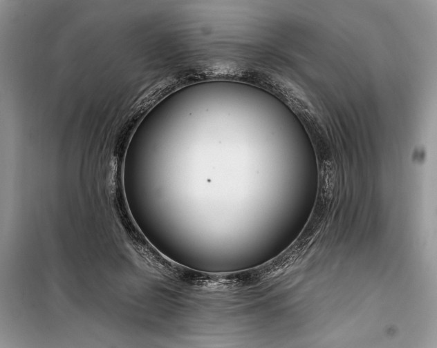 X0000099510550200805291152