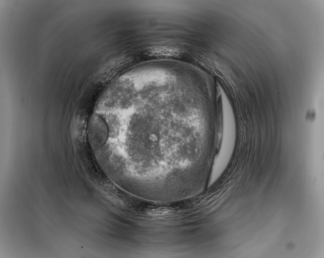 X0000099510551200805291152