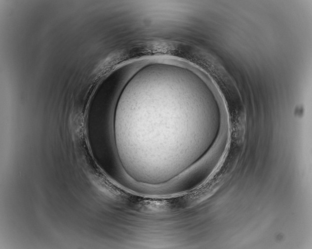 X0000099510552200805291152