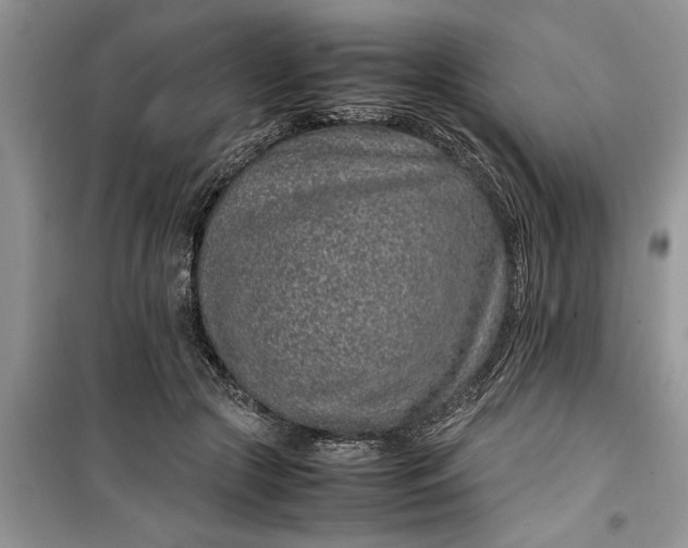 X0000099510553200805291152