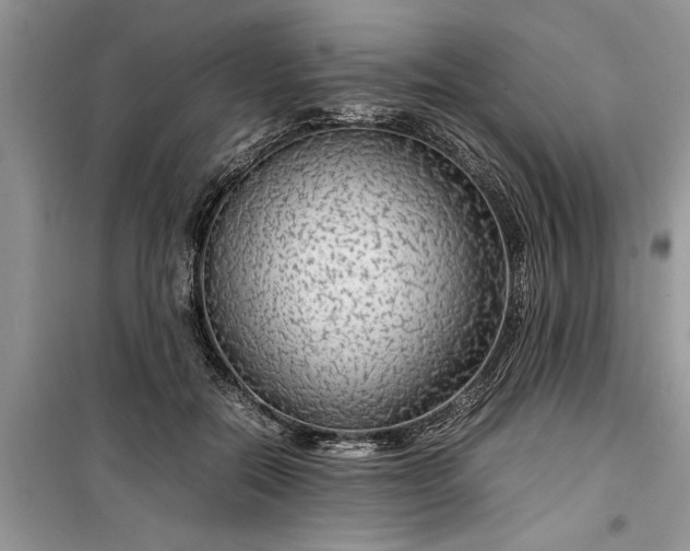 X0000099510554200805291152