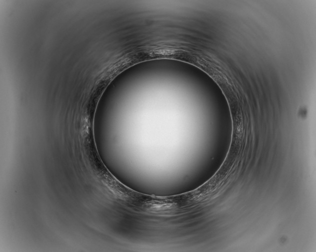 X0000099510555200805291152