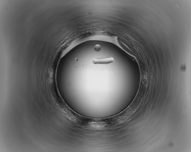 X0000099510556200805291152