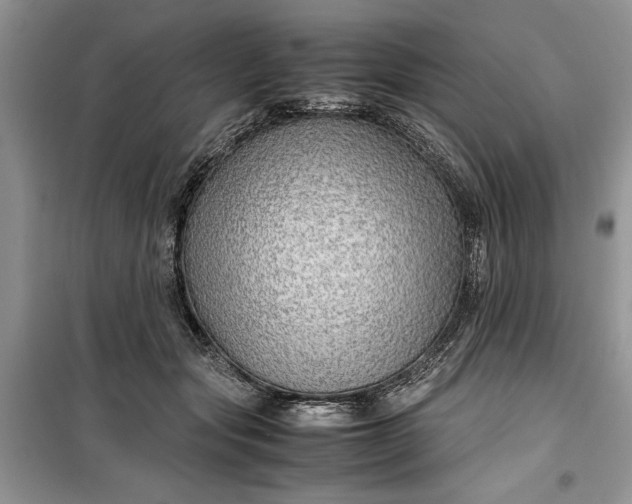 X0000099510557200805291152