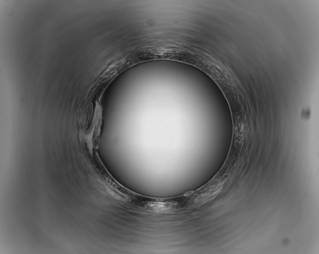 X0000099510558200805291152