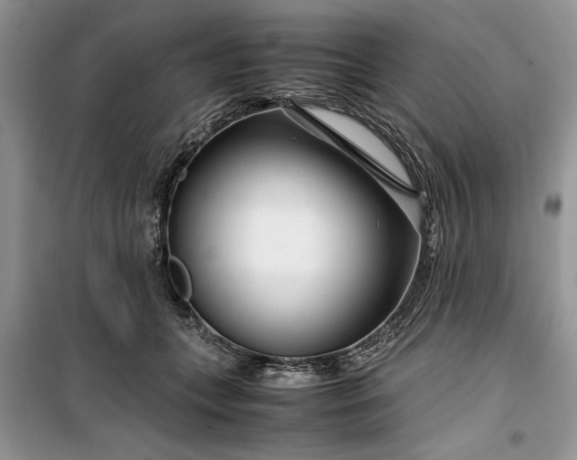 X0000099510559200805291152