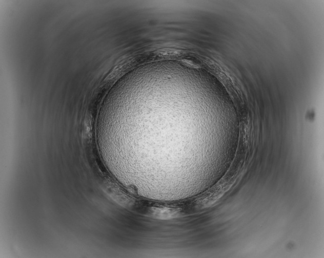 X0000099510561200805291152