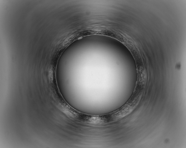 X0000099510562200805291152