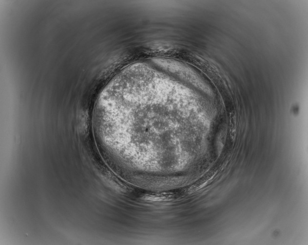 X0000099510563200805291152