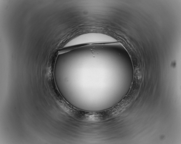 X0000099510564200805291152