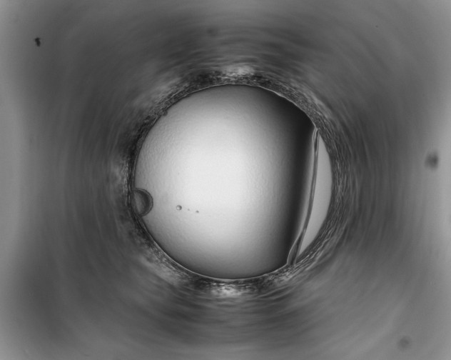 X0000099510565200805291152