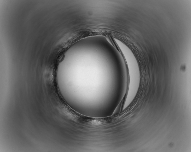 X0000099510566200805291152