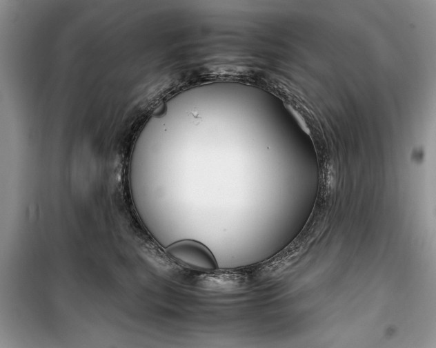 X0000099510567200805291152