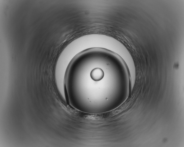 X0000099510568200805291152