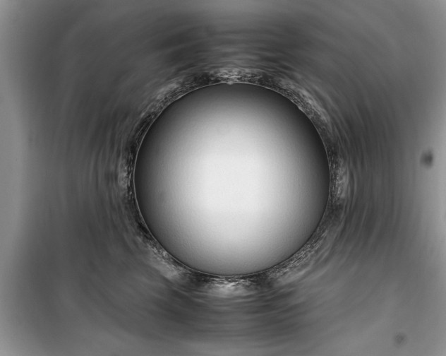 X0000099510569200805291152