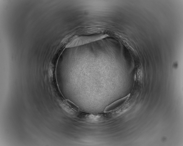 X0000099510570200805291152