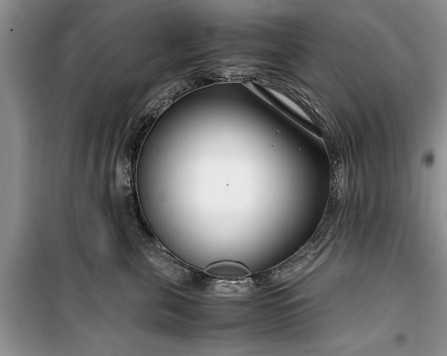 X0000099510571200805291152