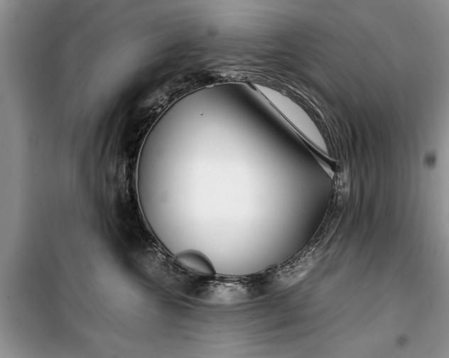 X0000099510572200805291152