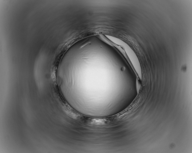 X0000099510573200805291152