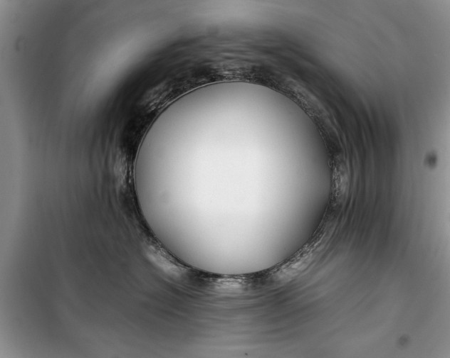 X0000099510574200805291152