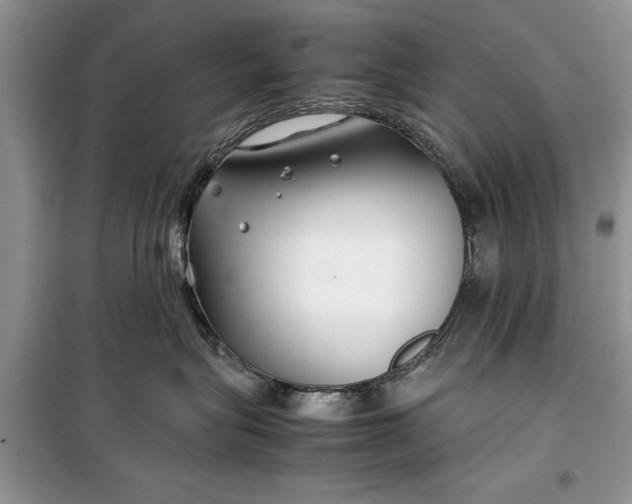 X0000099510575200805291152