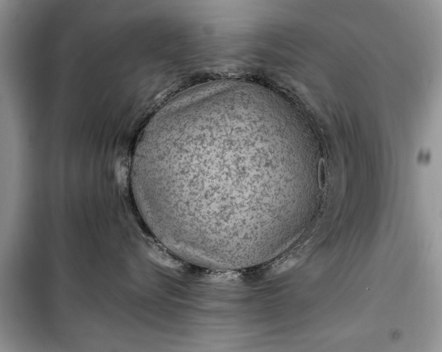 X0000099510576200805291152