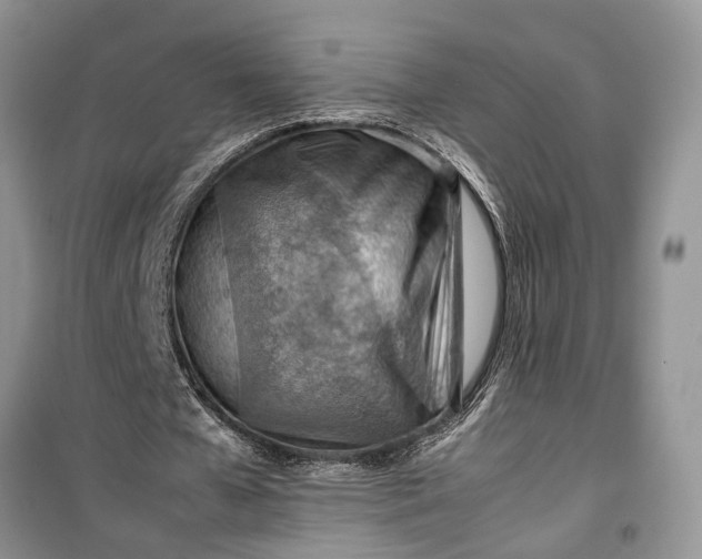 X0000099510577200805291151