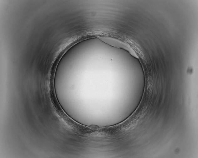 X0000099510578200805291151