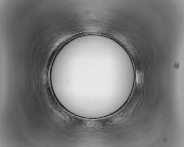 X0000099510579200805291151