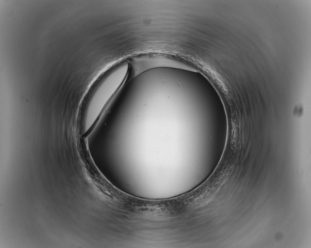 X0000099510580200805291151