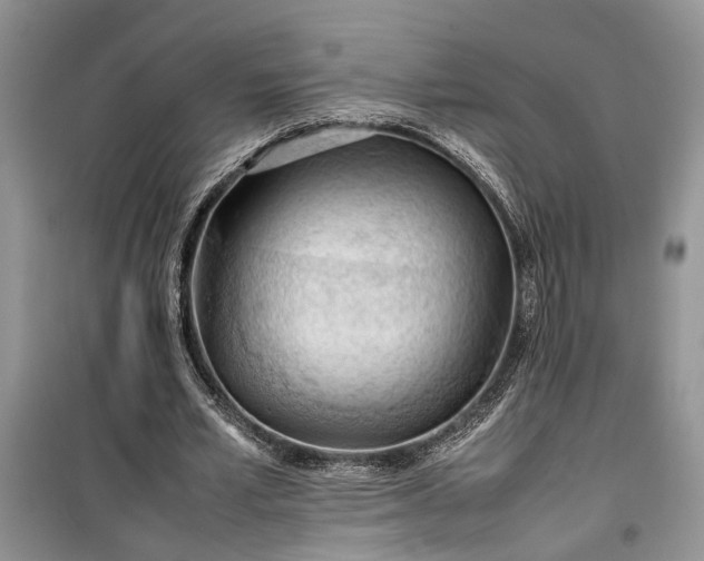 X0000099510581200805291151