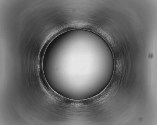 X0000099510582200805291151