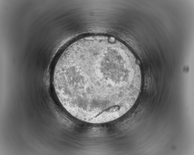 X0000099510584200805291151