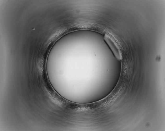 X0000099510586200805291151