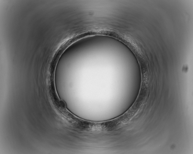 X0000099510587200805291151