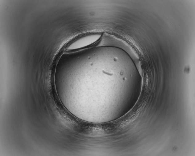 X0000099510588200805291151