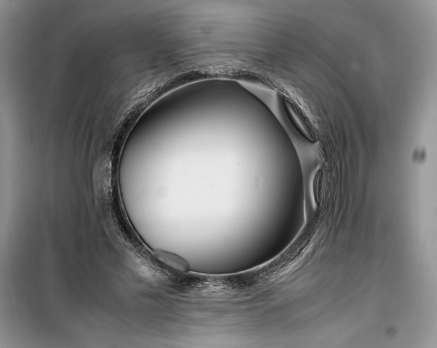 X0000099510589200805291151