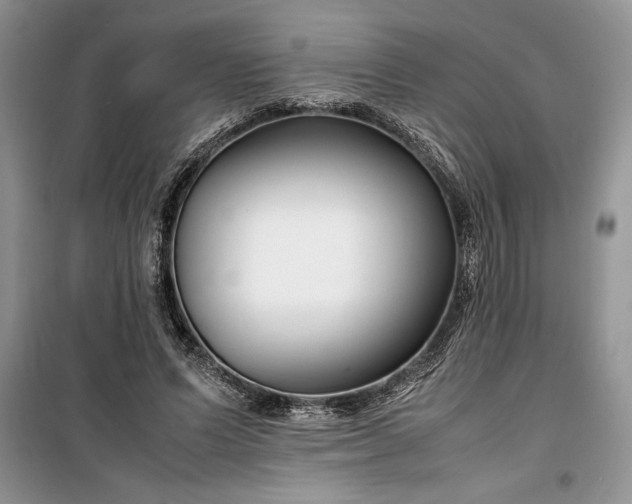 X0000099510591200805291151