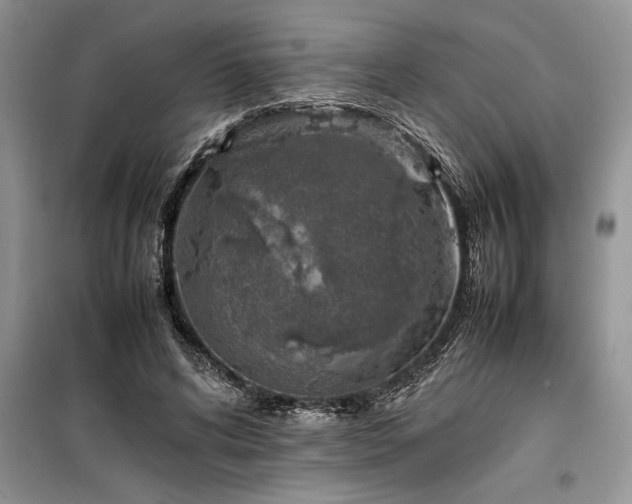 X0000099510592200805291151