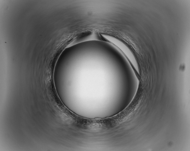 X0000099510593200805291151