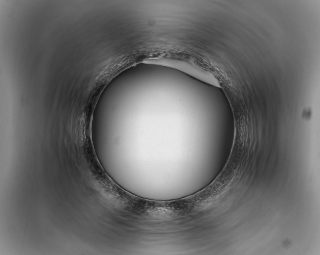 X0000099510594200805291151