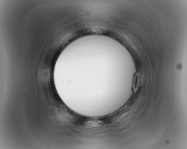 X0000099510595200805291151