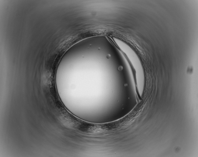 X0000099510597200805291151