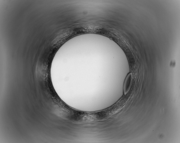 X0000099510599200805291151