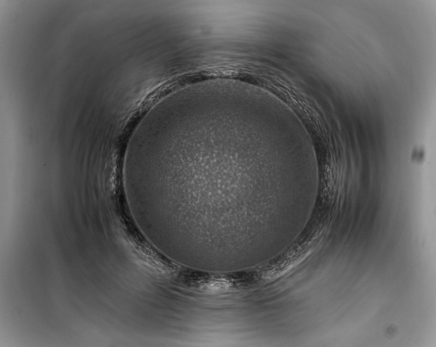 X0000099510600200805291151