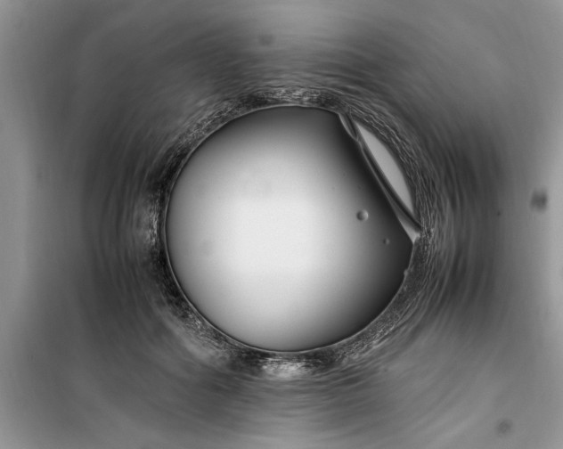 X0000099510602200805291151